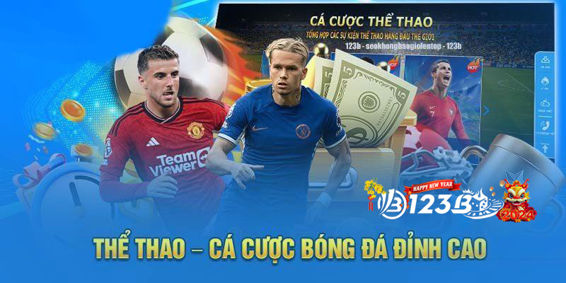 Rủi ro trong cá cược thể thao